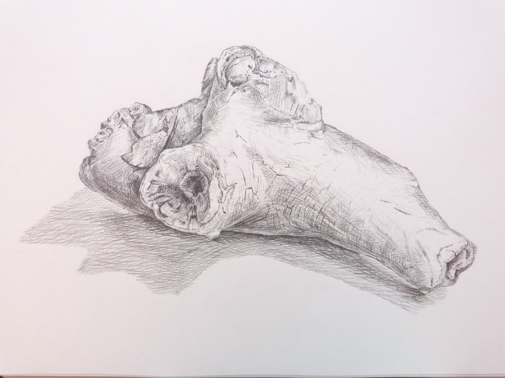 2048x1536 Exercise Getting Tone And Depth In Detail Ocadrawing1log - Driftwood Sketch