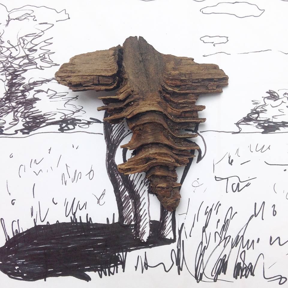 960x960 Driftwood Sketch Safari By Jevo Jevo - Driftwood Sketch