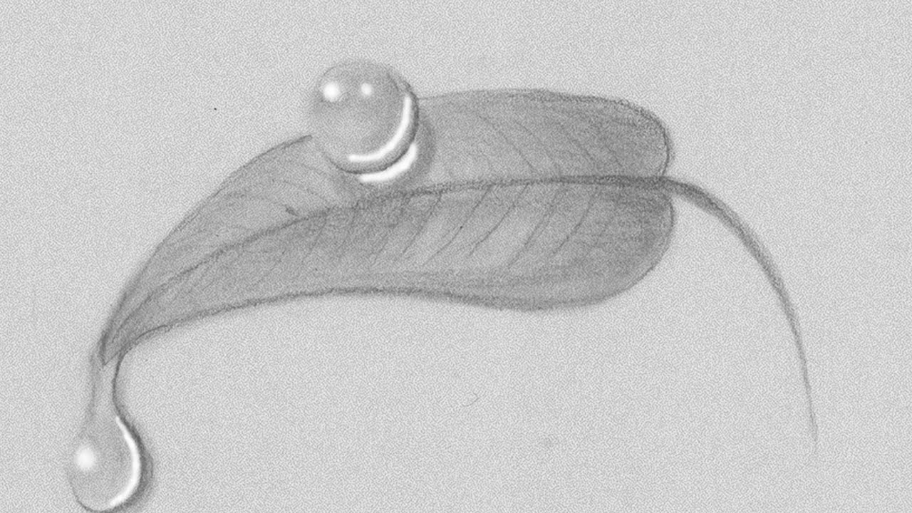 1280x720 How To Draw Or Sketch Realistic Water Drops On A Leaf - Drop Sketch