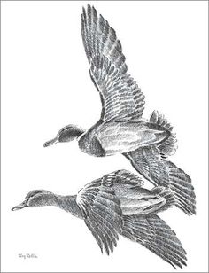236x308 20 Best Duck Tattoos Images Duck Tattoos, Birds And - Duck Hunting Sketch