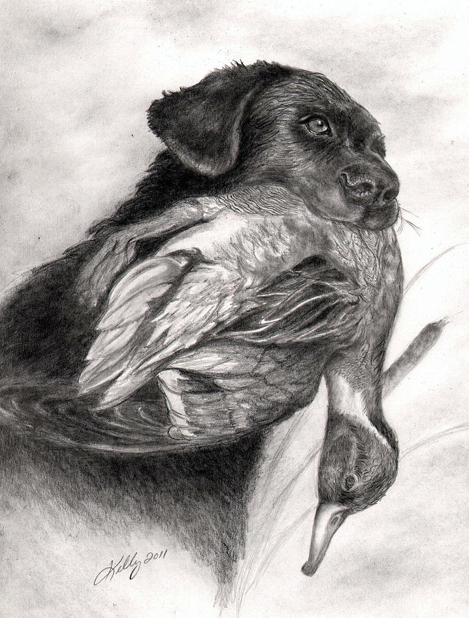 683x900 Duck Season Drawing By Kathleen Kelly Thompson - Duck Hunting Sketch