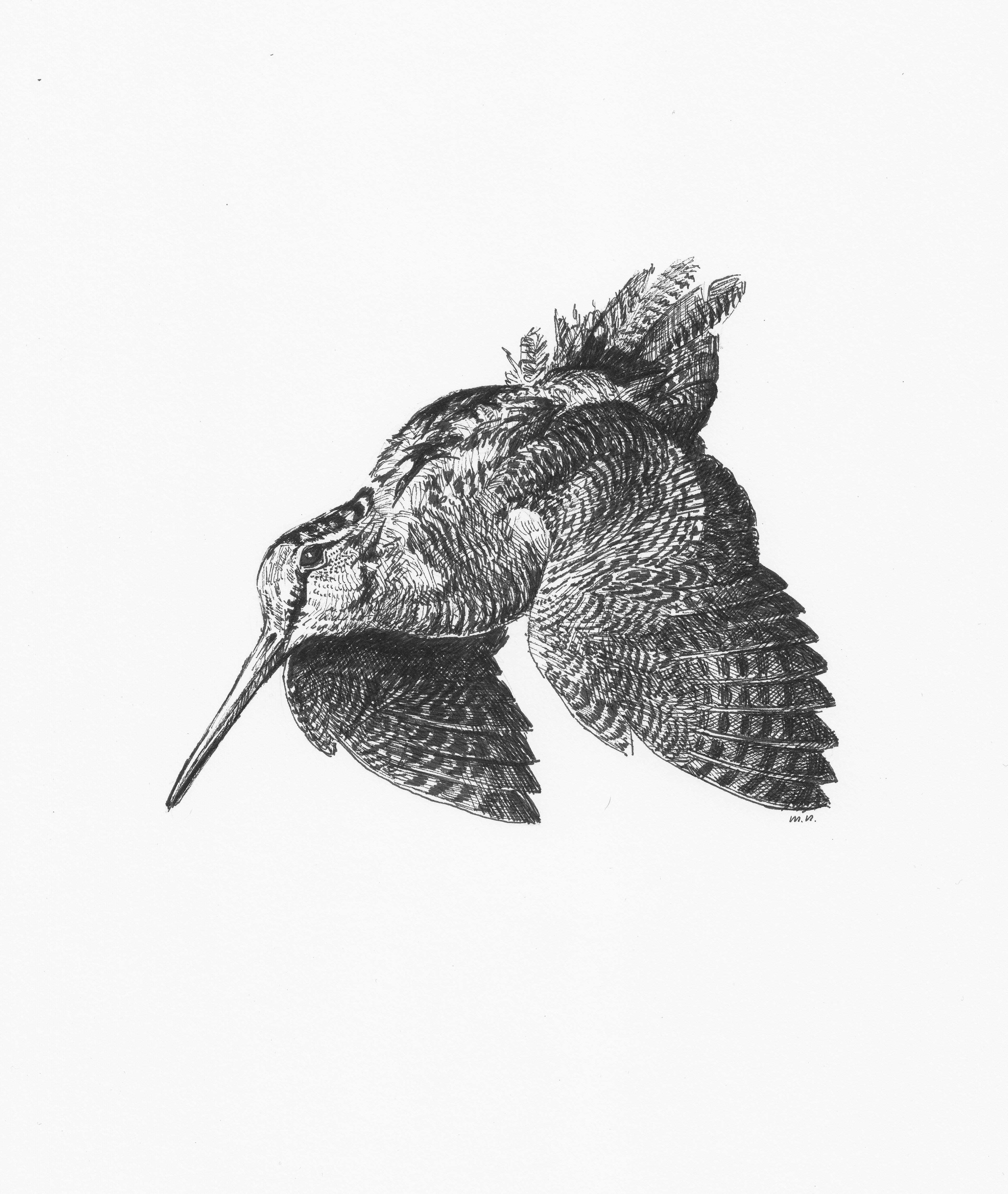 4201x4979 50 Lovely Duck Hunting Tattoos - Duck Hunting Sketch