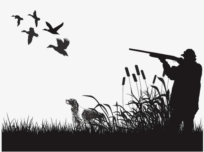 650x484 Playing Duck Hunter Image, Duck Clipart, Sketch, Play Ducks Png - Duck Hunting Sketch