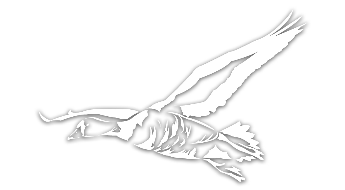 1181x650 Prairie Thunder Outfitters A Premier Waterfowl And Turkey Outfitter. - Duck Hunting Sketch