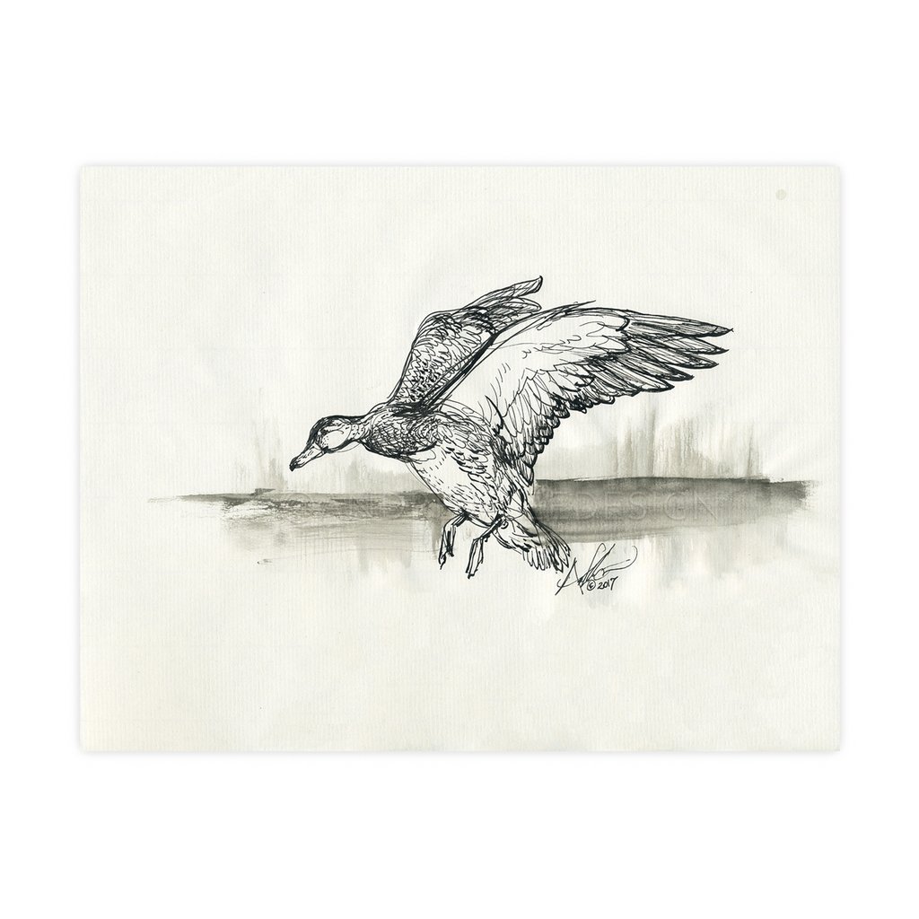 1024x1024 Shop All Tagged Duck Hunting - Duck Hunting Sketch