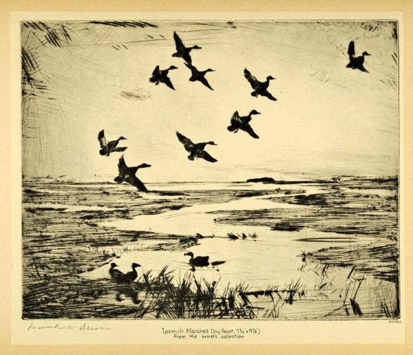 600x516 Animals Amp Wildlife Tagged Xac6 - Duck Hunting Sketch