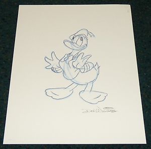 300x296 Walt Disney Donald Duck Don Ducky Williams 2010 Pencil Sketch - Duck Pencil Sketch