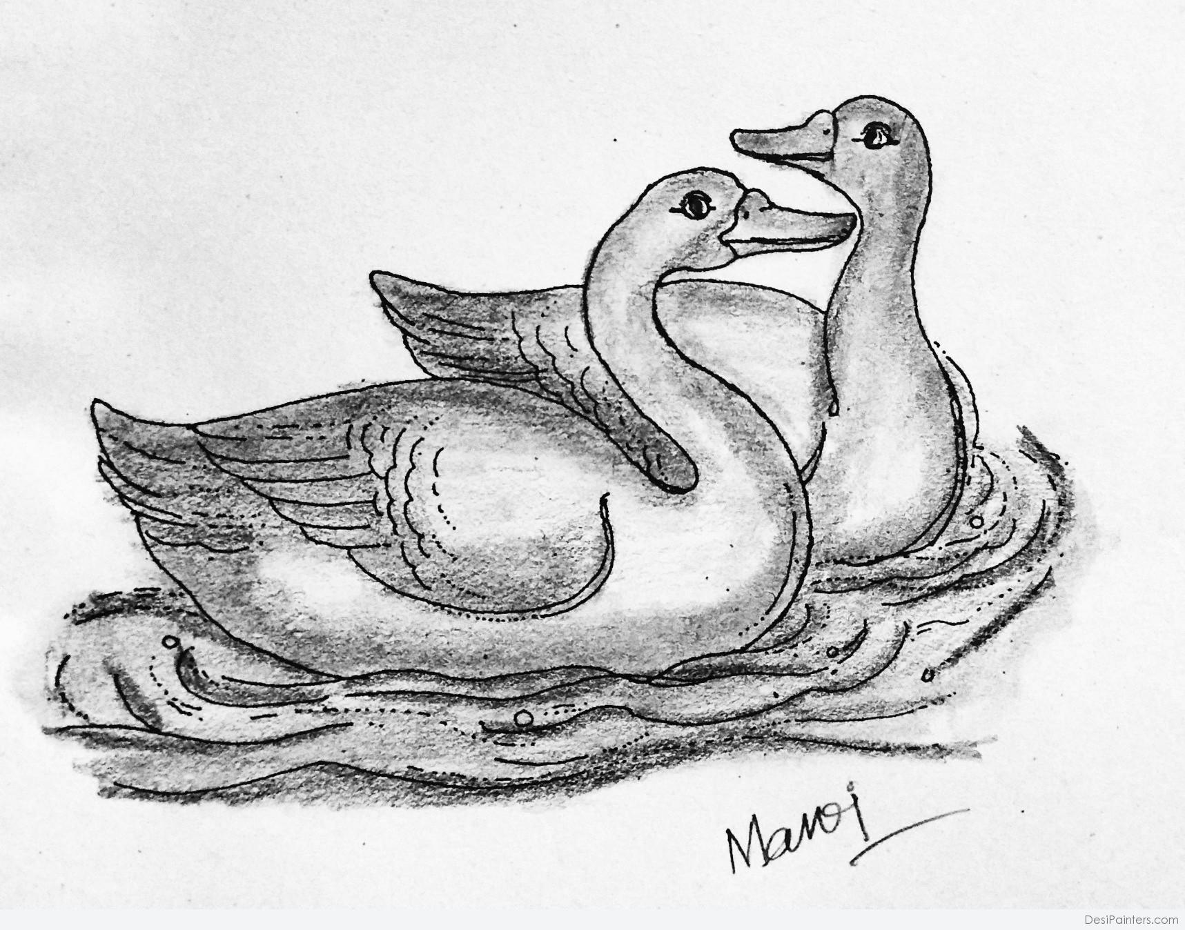 Duck Pencil Sketch at Explore collection of Duck