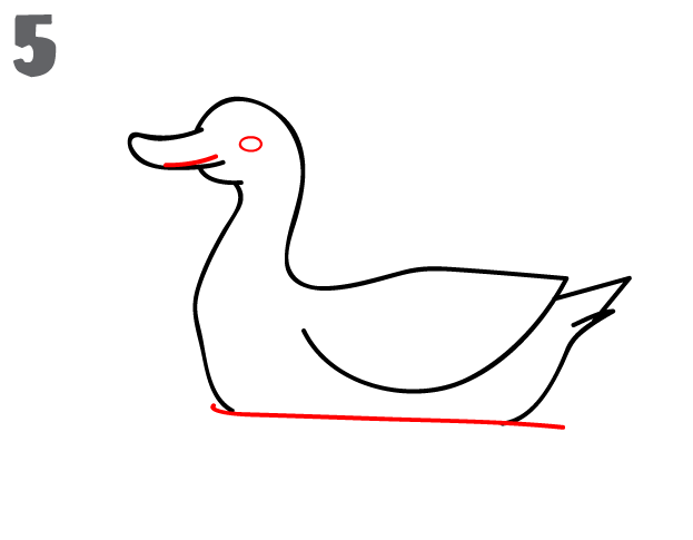 623x485 How To Draw A Duck - Duck Sketch