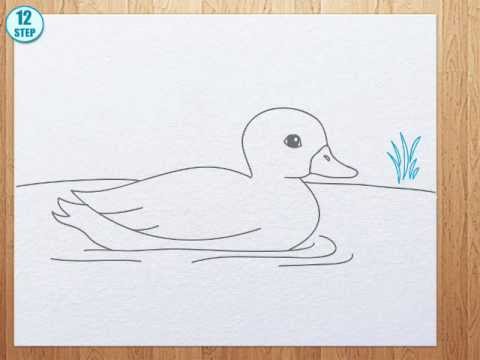 480x360 How To Draw A Duck - Duck Sketch