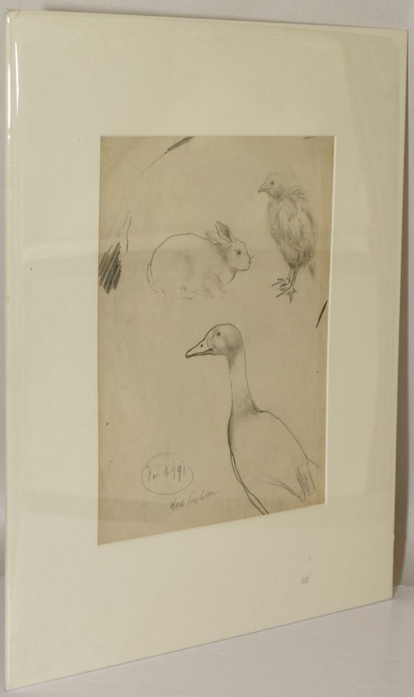 594x1000 Pencil Sketch. A Duck, A Rabbit, A Baby Chick Art Clare Leighton - Duck Sketch