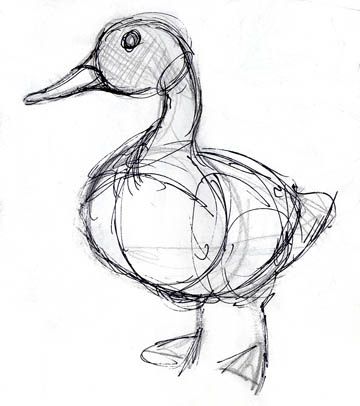 360x406 Duck Artful Love Drawings, Duck Art And Birds - Duck Sketch