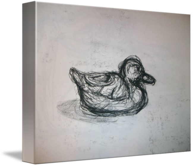650x560 Duck Sketch By Caroline Schmitz - Duck Sketch Images