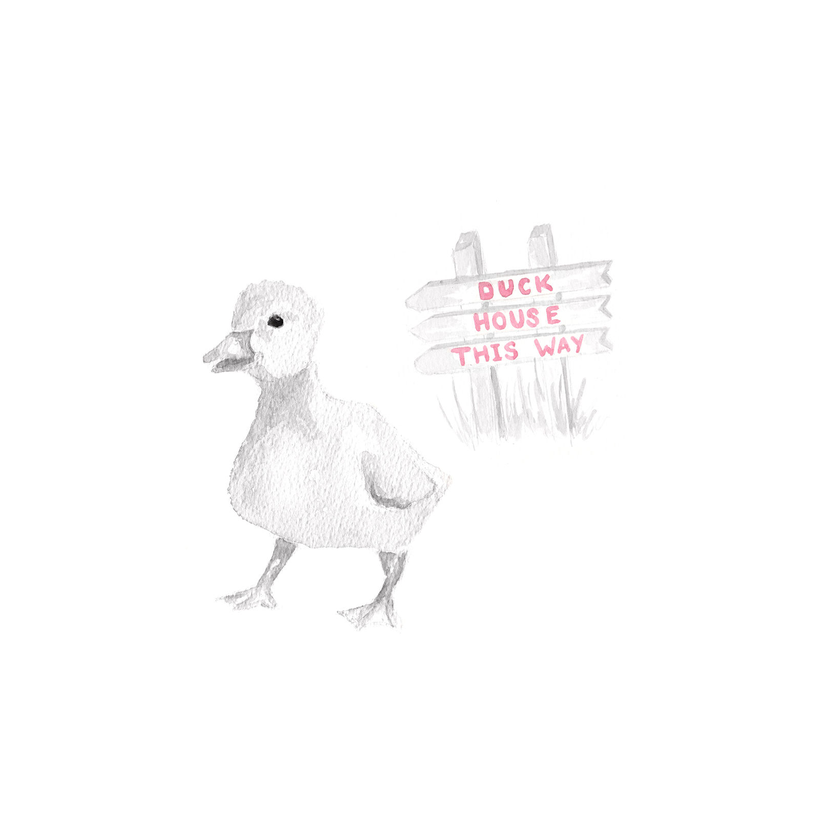 1600x1600 Pink Duck Sketch Framed Art 11x14 In. At Home - Duck Sketch Images