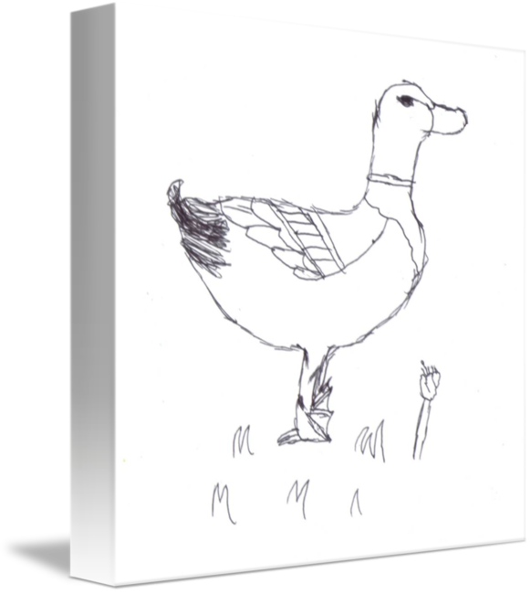 582x650 Jakes Mallard Duck Sketch By Jakenmichelle - Duck Sketch Images