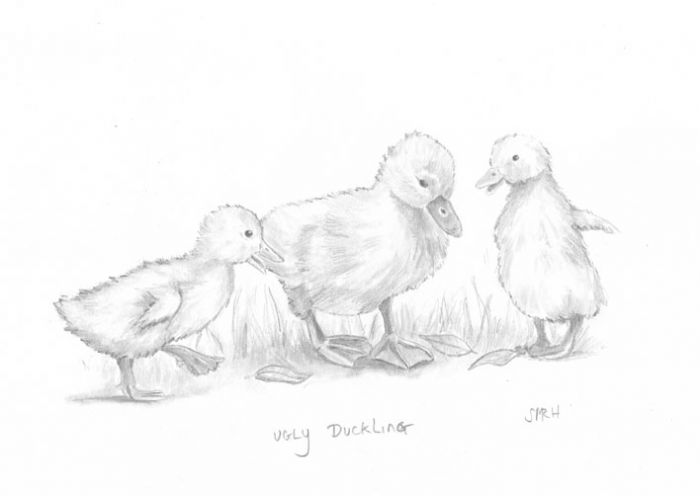 700x496 Sketch Fest! - Duckling Sketch