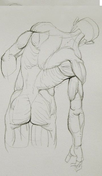 359x616 Pin By Frim Dumpster On Anatomy Anatomy, Drawings - Dumpster Sketch