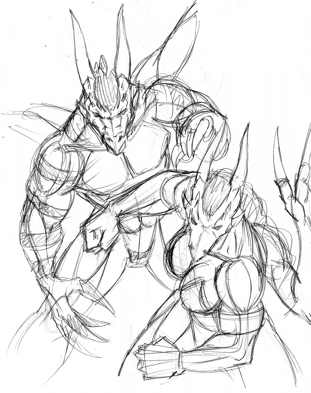 1012x1280 Dragon Duo Sketch By Zaruchen - Duo Sketch