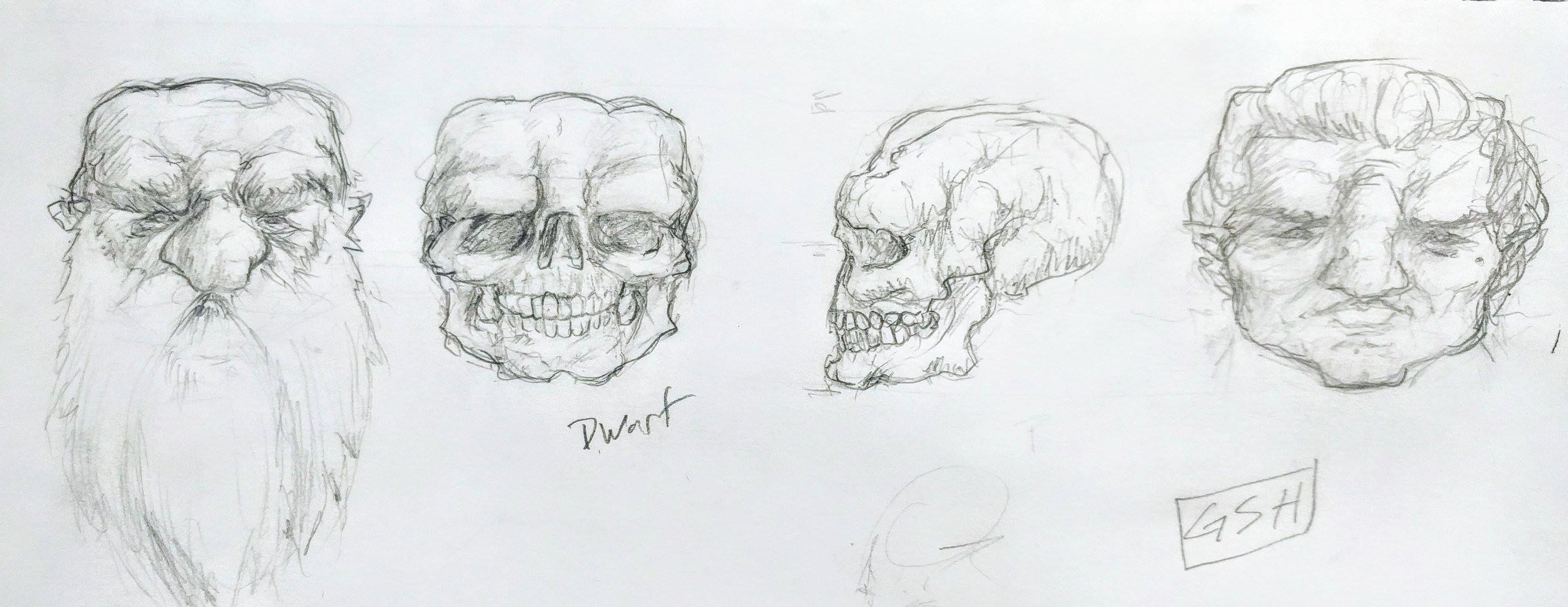 2520x975 Some Folks Seemed To Like The Dwarf Skull Study I Did In The - Dwarf Sketch