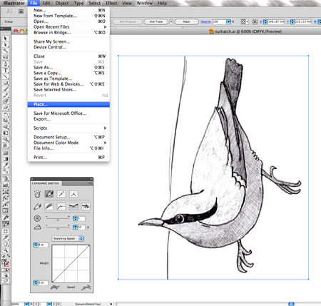 450x429 Sketching British Birds With The Dynamic Sketch Tool - Dynamic Sketch Tool