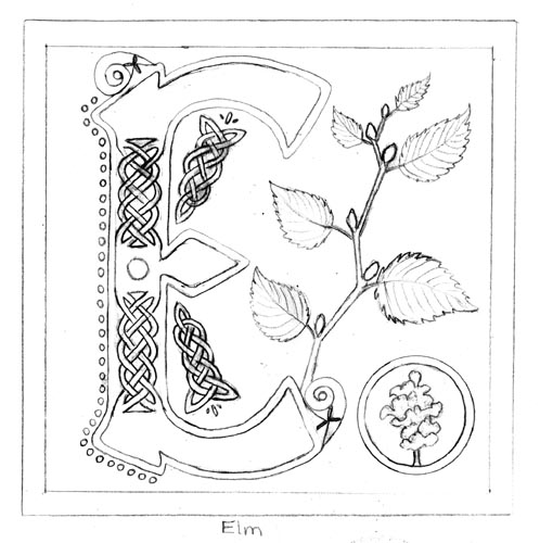 498x500 Letter E Sketch By Ladyfireoak - E Sketch