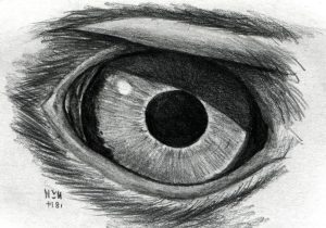 300x210 Eagle Eye Hd Pencil Sketch Eagle Eye Hd Pencil Sketch How To - Eagle Eye Sketch