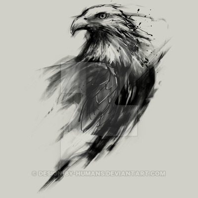 400x400 Eagle Eye By Design By Humans - Eagle Eye Sketch
