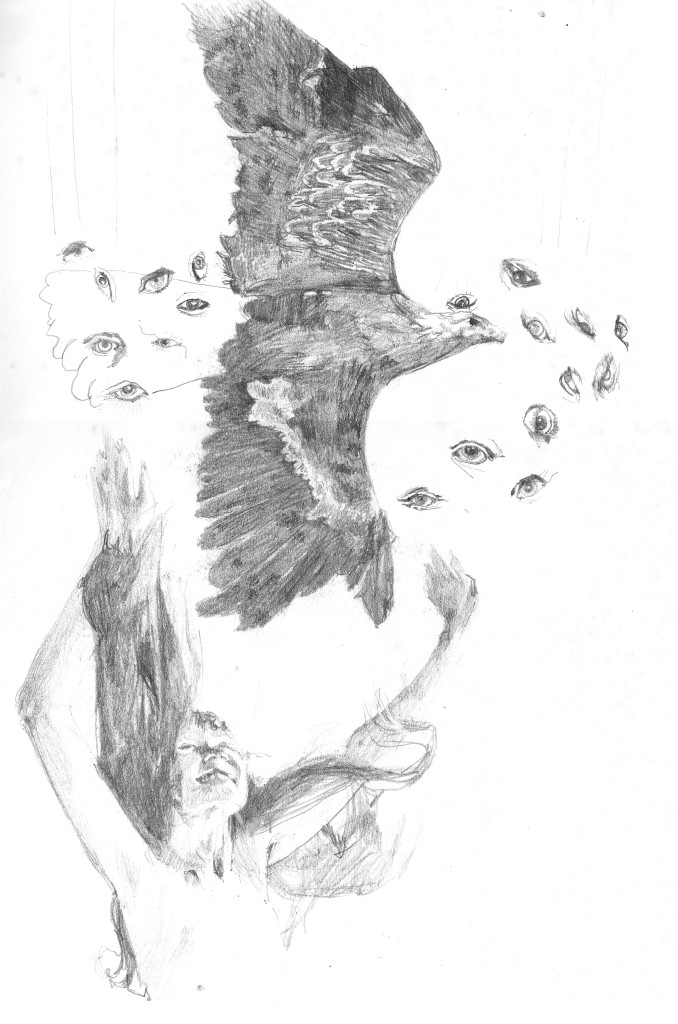 678x1024 Eagle Eyes Drawing Moon Surf Hag Shack - Eagle Eye Sketch