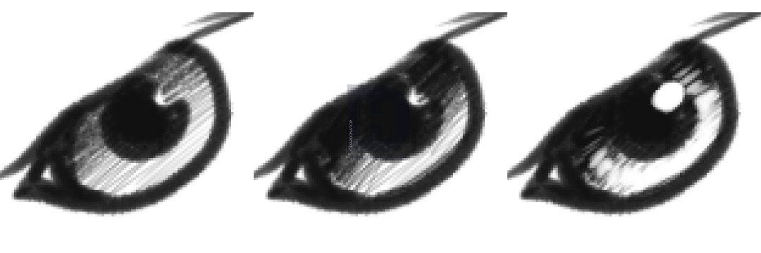 1080x360 How To Sketch An Eagle, Step By Step, Drawing Guide, By Darkonator - Eagle Eye Sketch