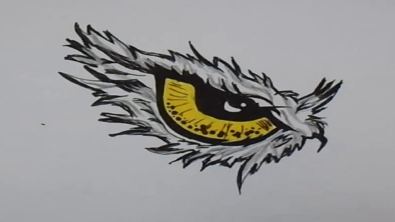 1280x720 How To Draw Eagle Eye - Eagle Eye Sketch
