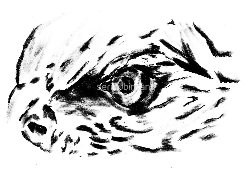 1000x681 Sketch 77 - Eagle Eye Sketch