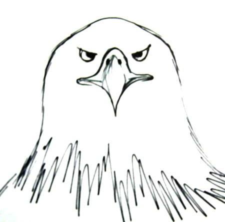 450x444 Drawn Face Eagle - Eagle Face Sketch