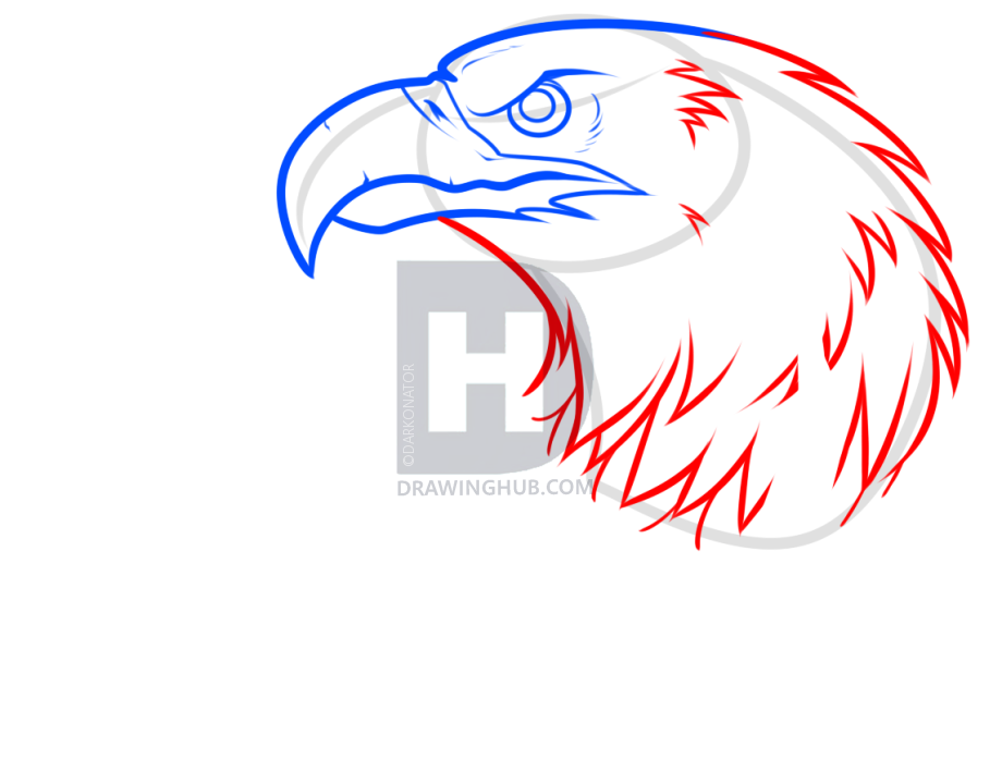 920x720 Eagle Dreamcatcher Drawing Lesson, Step By Step, Drawing Guide, By - Eagle Face Sketch