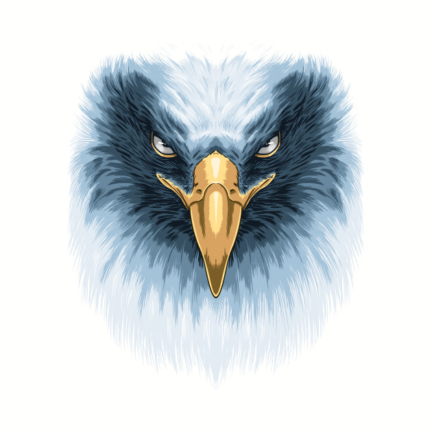 630x630 Eagle Face - Eagle Face Sketch