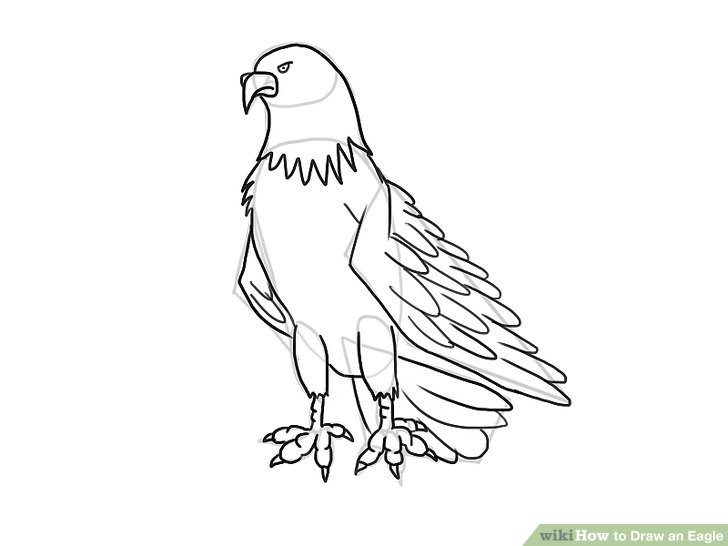 728x546 4 Ways To Draw An Eagle - Eagle Face Sketch