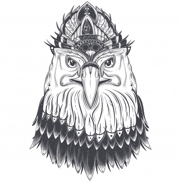 626x626 Eagle Outline Vectors, Photos And Psd Files Free Download - Eagle Face Sketch