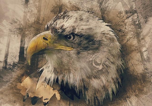 640x445 Free Photo Drawing Sketch Pencil Drawing Face - Eagle Face Sketch