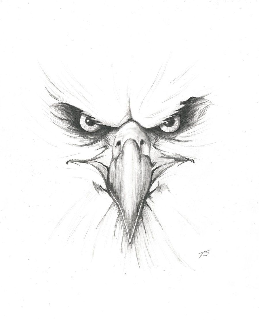 900x1114 Pin By Tee Snow On This Northern Boy [Rob Turpin] - Eagle Face Sketch