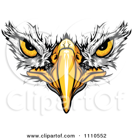 450x470 Bald Eagle Clipart Eagle Eyes - Eagle Face Sketch