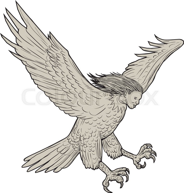 764x800 Drawing Sketch Style Illustration Of A Harpy, In Greek And Roman - Eagle Face Sketch