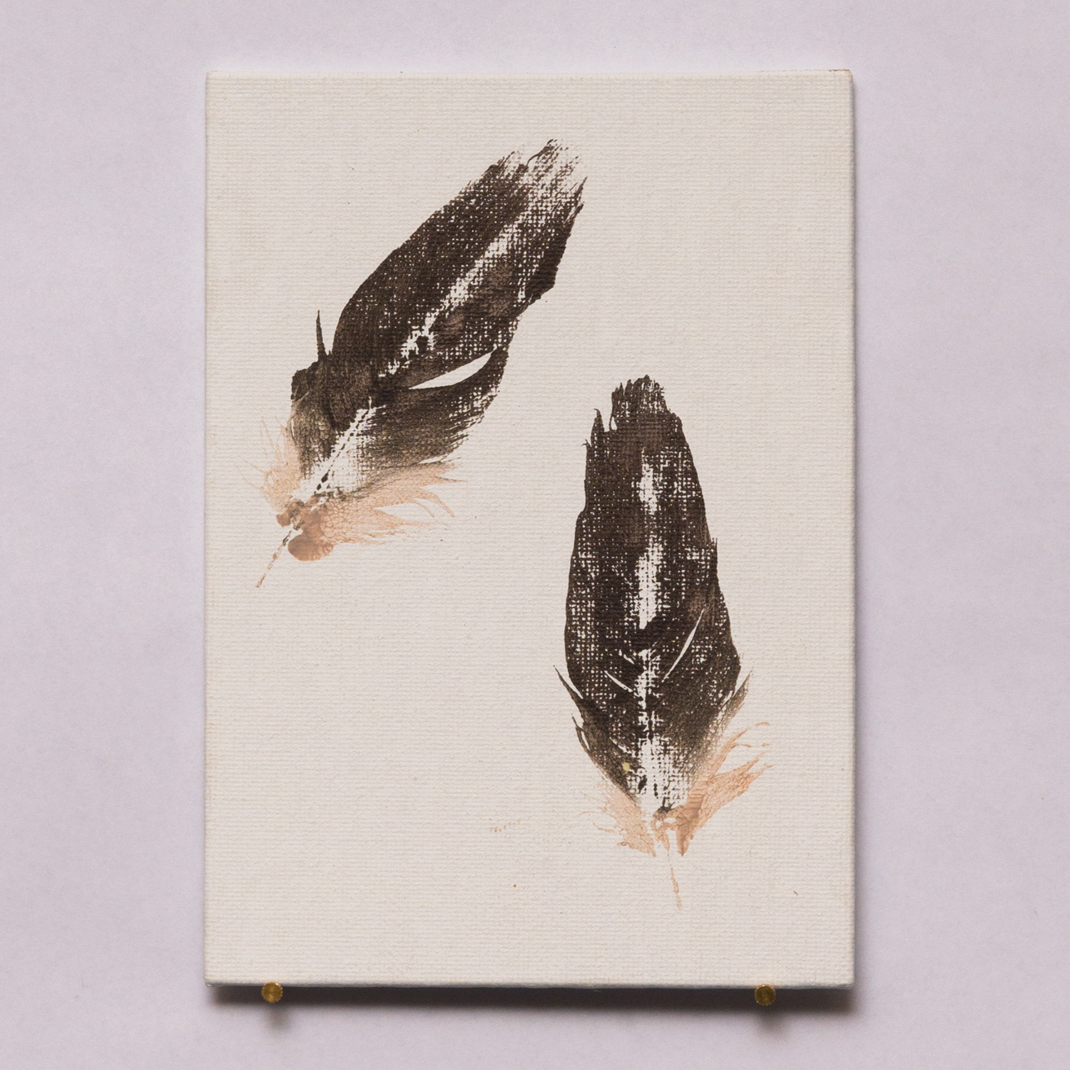 1500x1500 Eagle Feather Print New Mexico Biopark Society - Eagle Feather Sketch