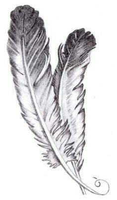 236x403 Eagle Feather Sketch Beauty Feather Sketch - Eagle Feather Sketch