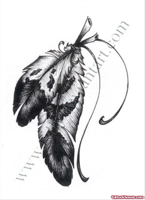 500x688 Eagle Feathers Tattoos Designs Tattoo - Eagle Feather Sketch