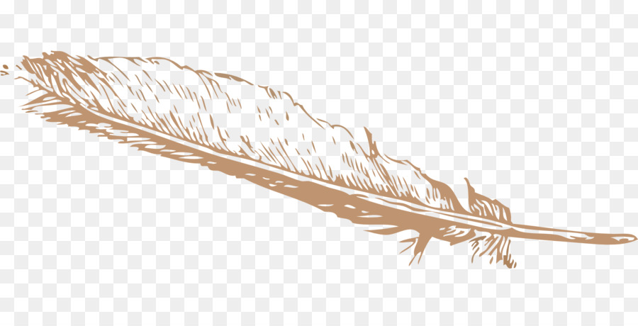 900x460 Eagle Feather Law Bird Clip Art - Eagle Feather Sketch