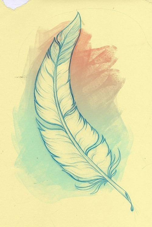 500x744 Eagle Feather Sketch - Eagle Feather Sketch