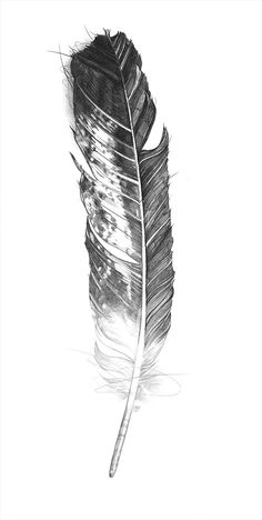 236x468 68 Best Eagle Feather Tattoos Images In 2018 Arm - Eagle Feather Sketch