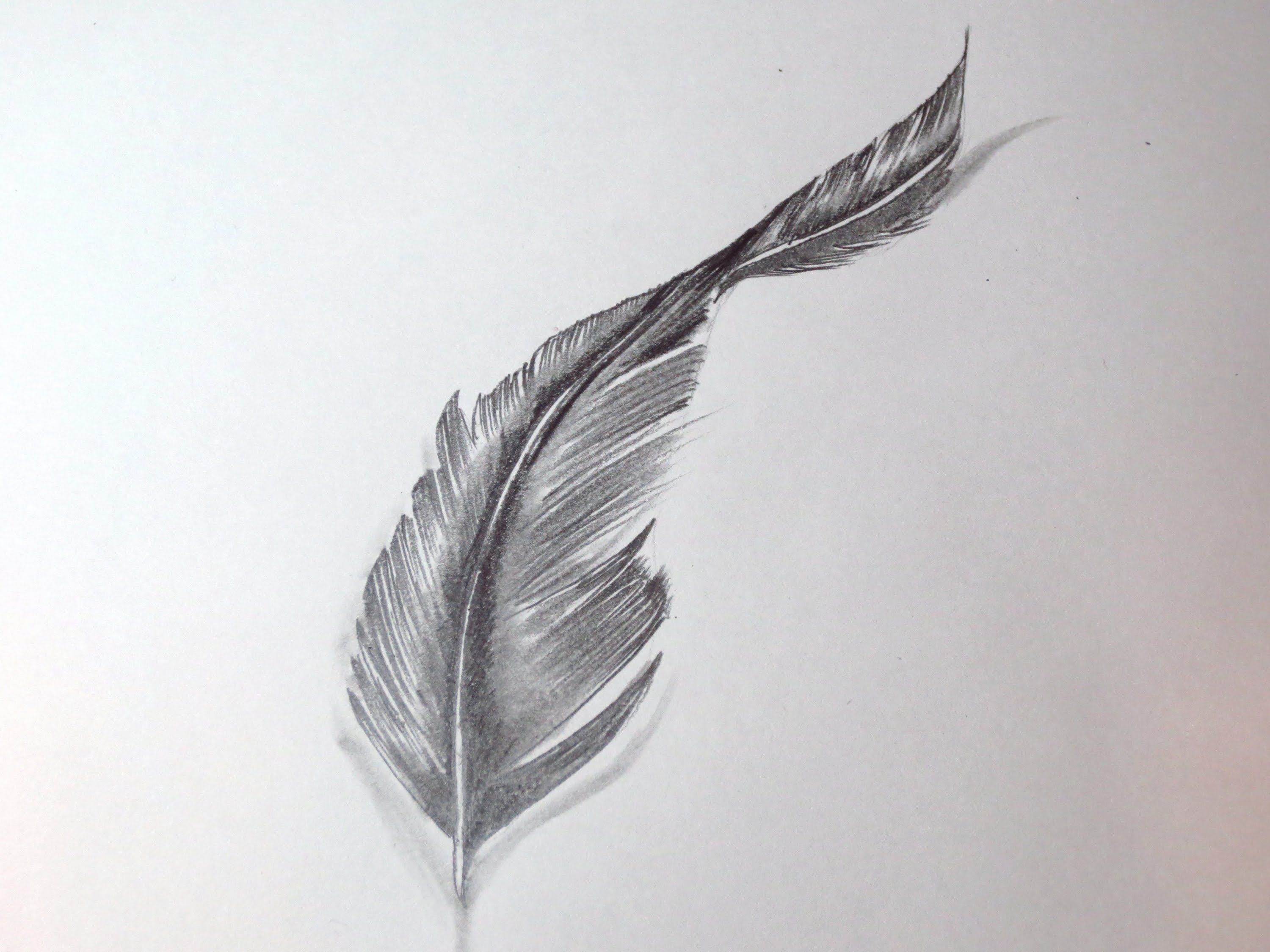 Feather Drawing, Pencil, Sketch, Colorful, Realistic Art Images - Eagle Fea...