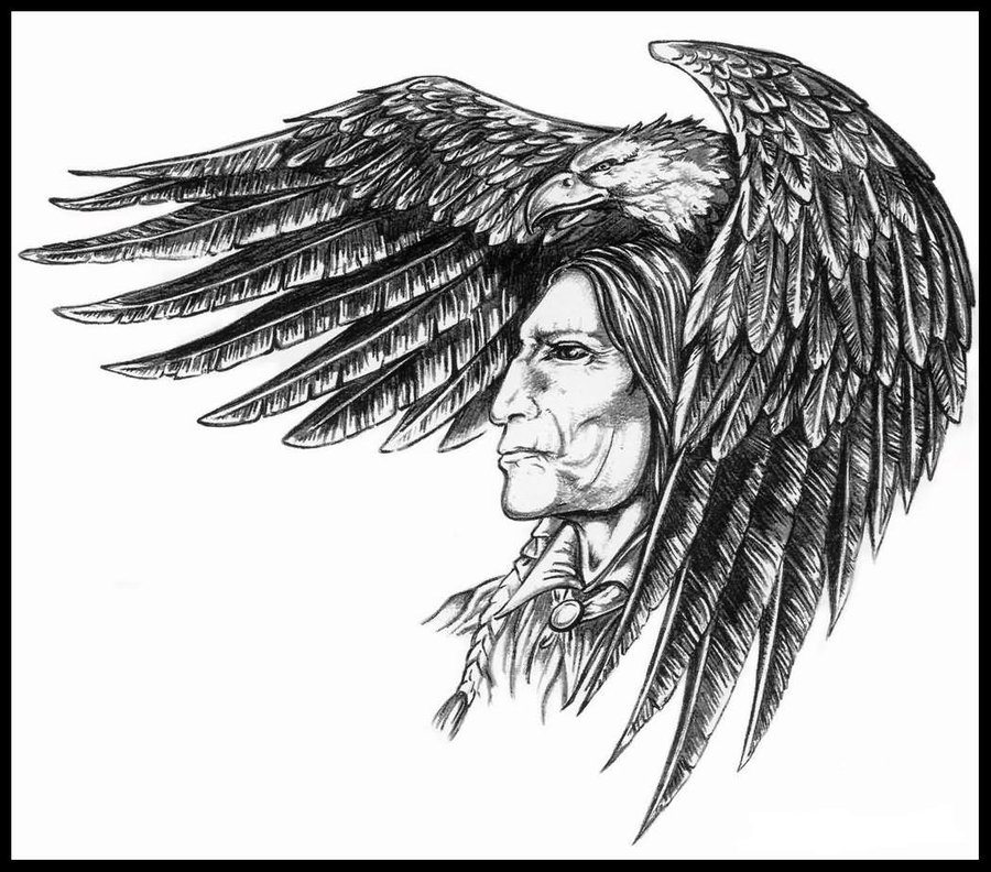Eagle Feather Sketch at Explore collection of
