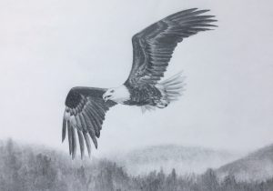 300x210 Eagle Drawings In Pencil Pencil Sketches Of Eagles Drawing Pages - Eagle Flying Sketch