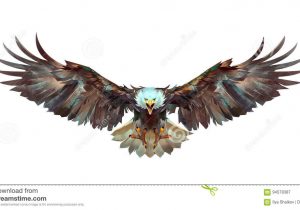 300x210 Flying Eagle Sketch Eagle Flying Pencil Sketch Pictures Eagle - Eagle Flying Sketch